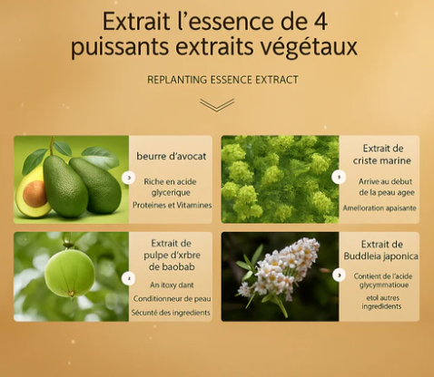 Crème Rajeunissante Multi-Effets